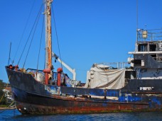 decrepit vessel in Snails Bay
