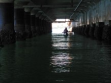 under the wharf